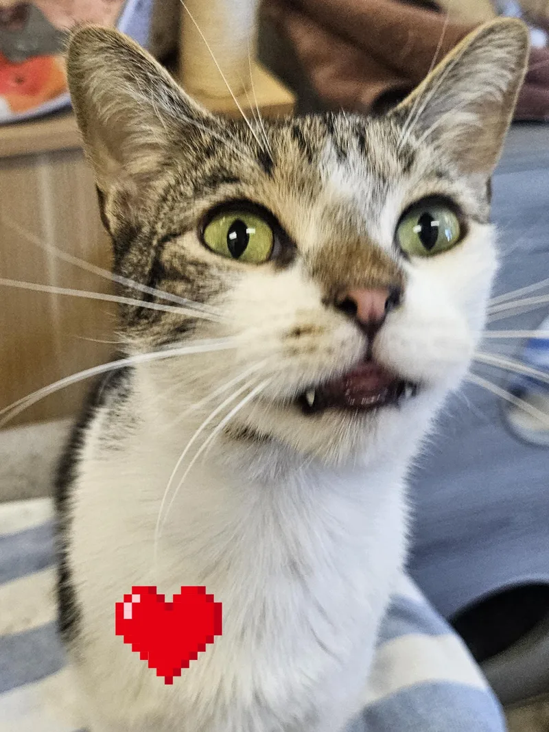 Mikey & Not Mikey thumbnail 3