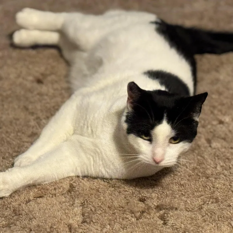 Merlot thumbnail 2