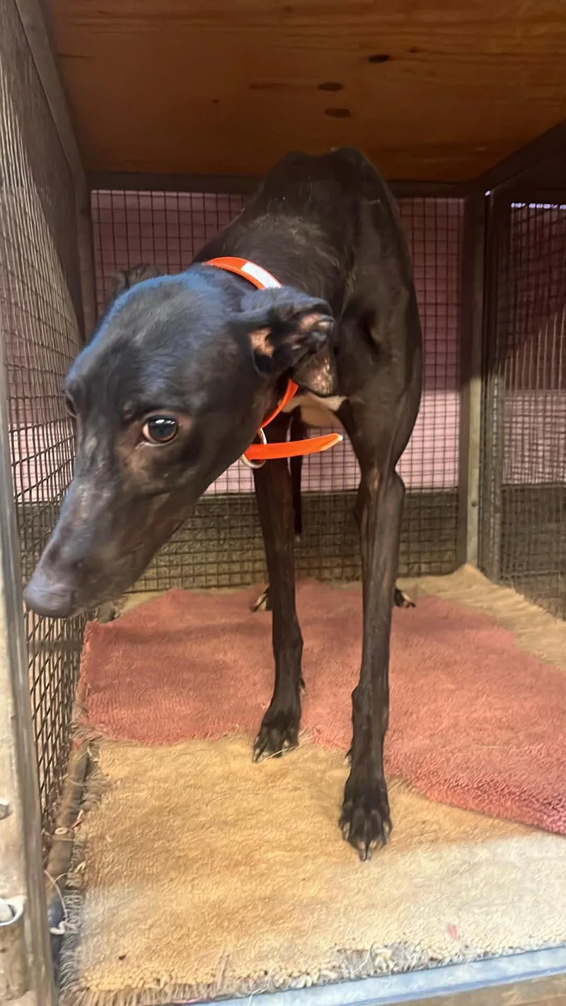 Refused To Break thumbnail 3