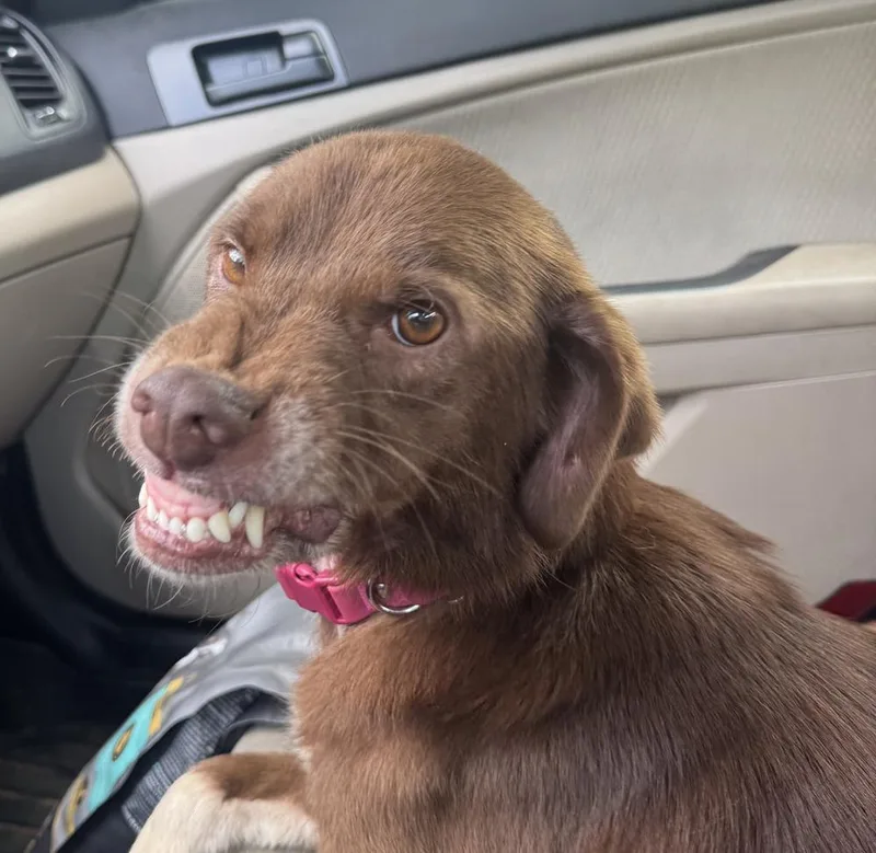 Smiling Tootsie