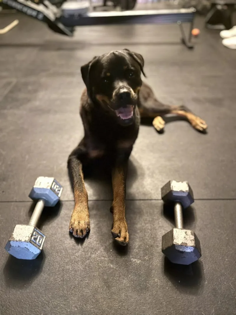 Memphis Slim thumbnail 3