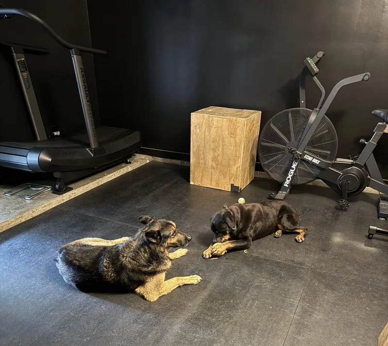 Memphis Slim thumbnail 5