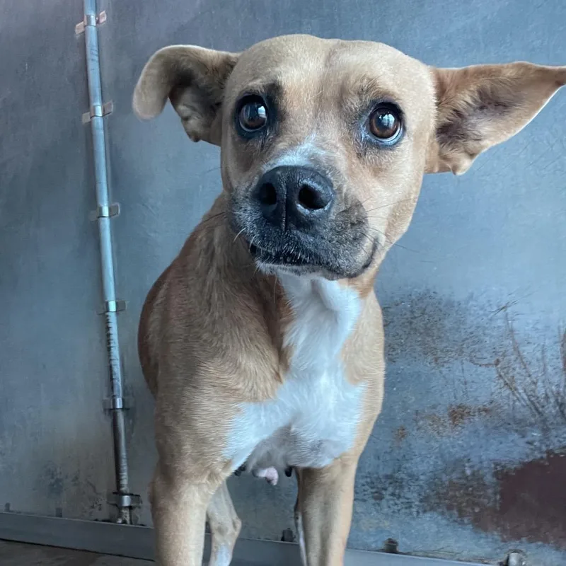 Tillamook thumbnail 2