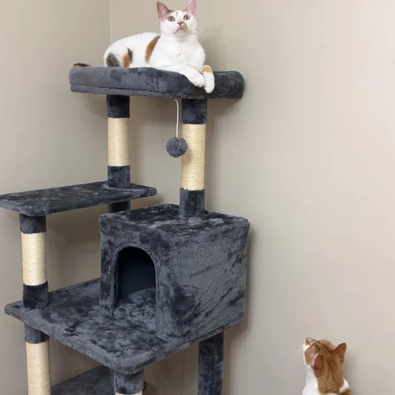 Coco  Home to thumbnail 3