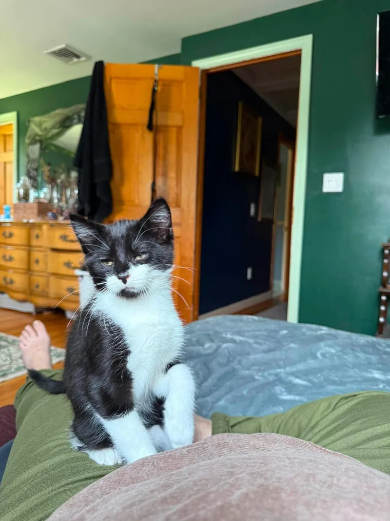 Binx thumbnail 3
