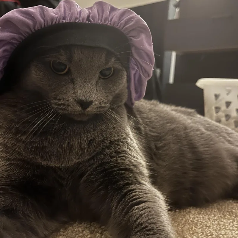 Meek  Home To thumbnail 2