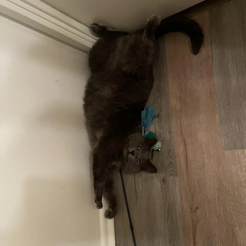 Meek  Home To thumbnail 3