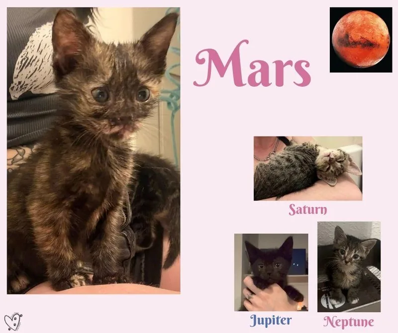 Mars thumbnail 2