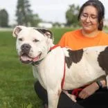 Tyson thumbnail 2