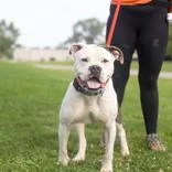 Tyson thumbnail 3