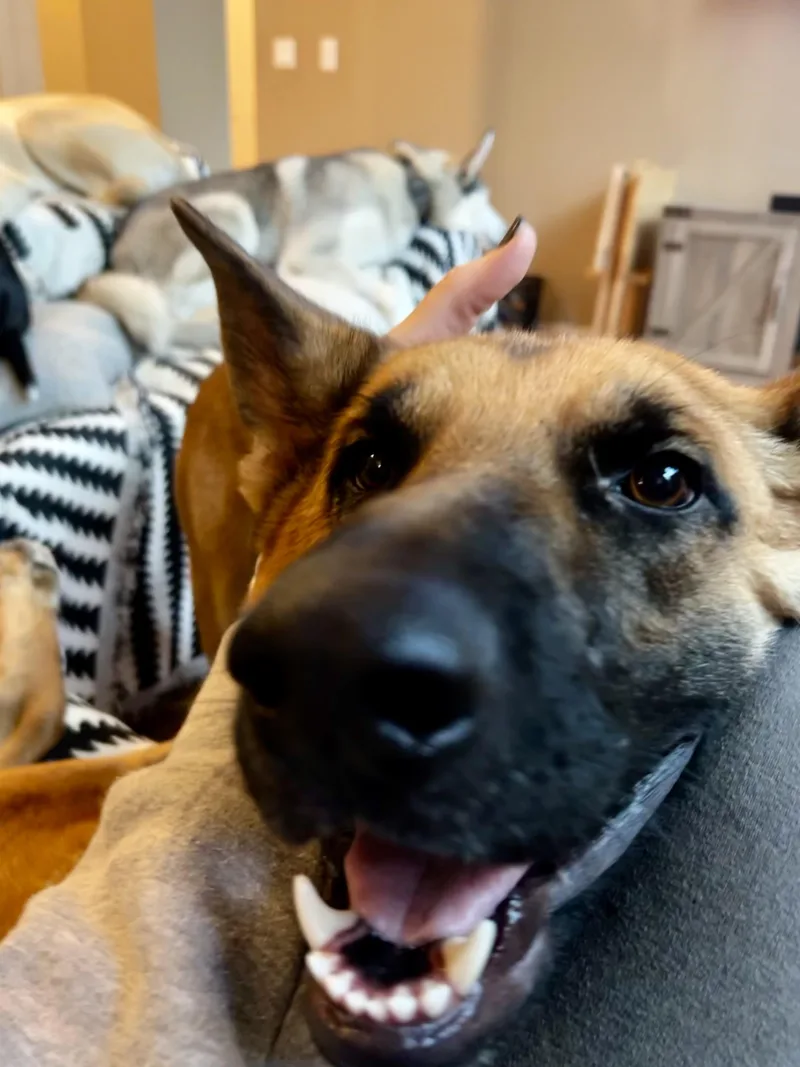 Loki thumbnail 2