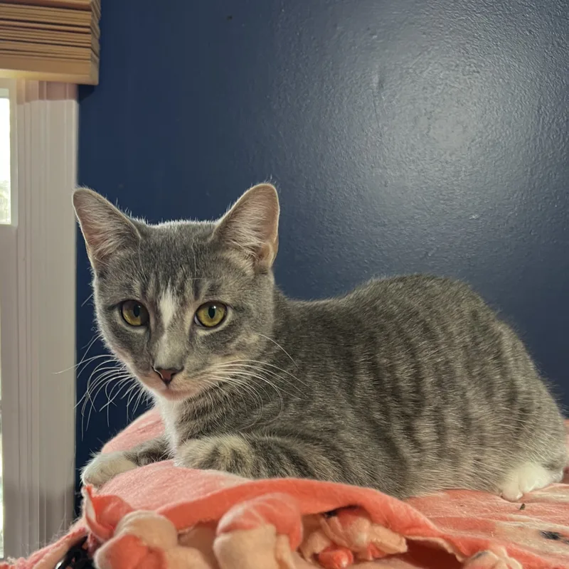 Otis And Olivia thumbnail 3