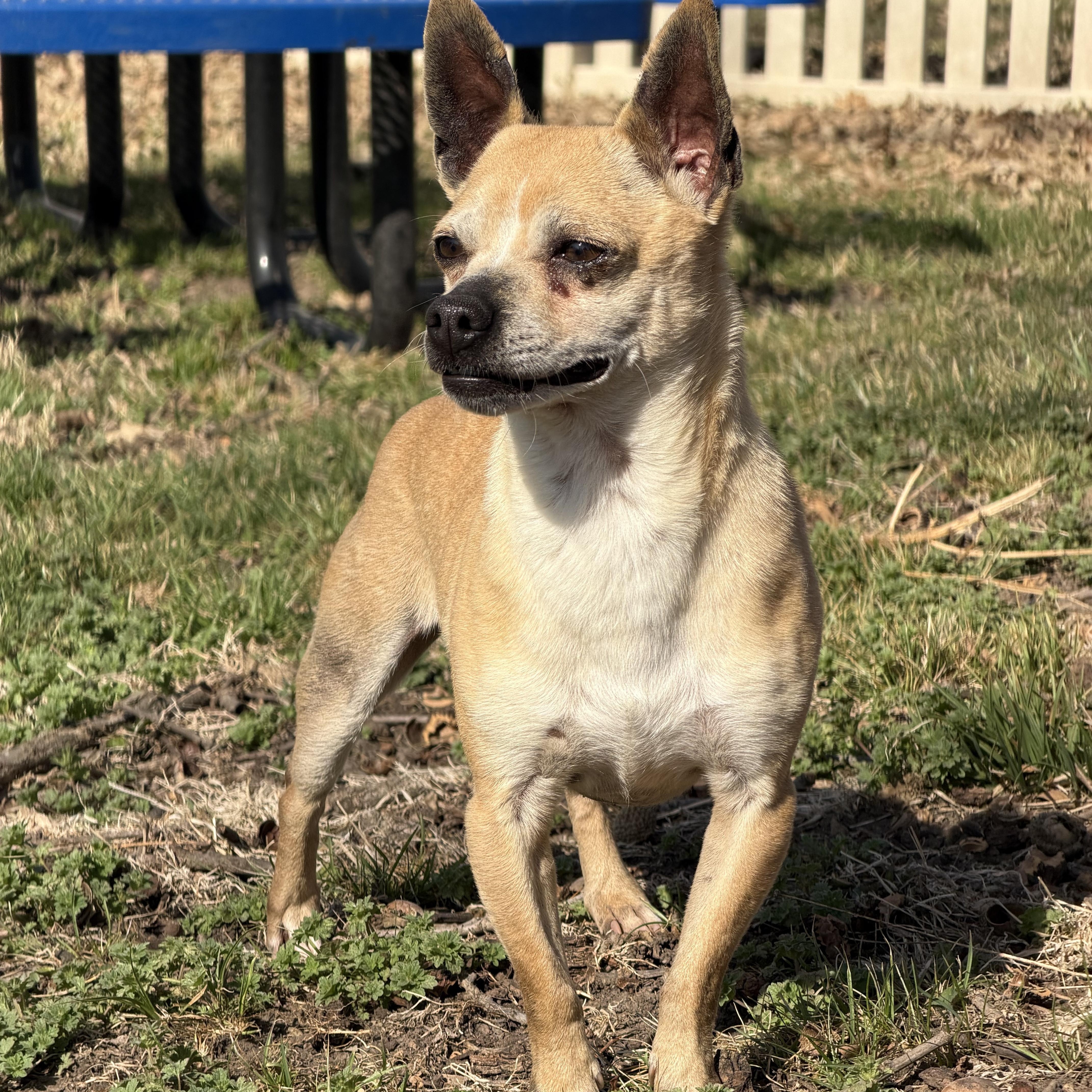 Hank Carter thumbnail 2