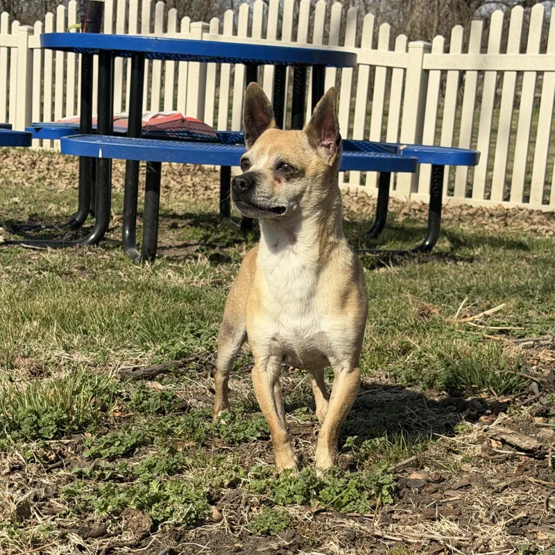 Hank Carter thumbnail 3