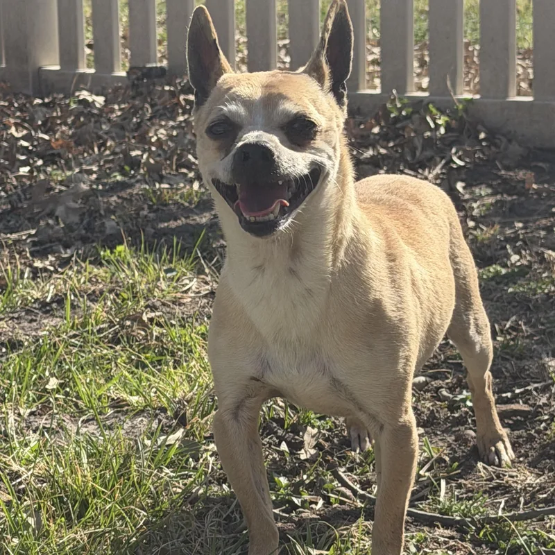 Hank Carter thumbnail 4