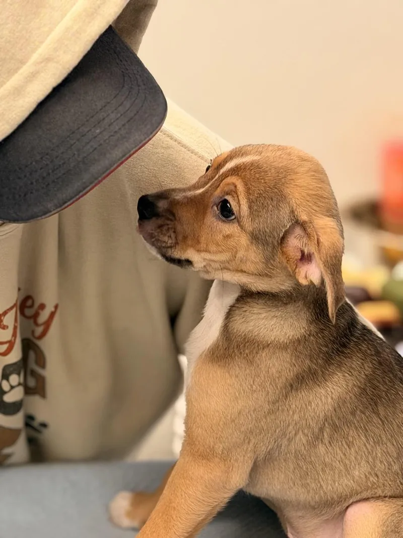 Mutt Damon thumbnail 2