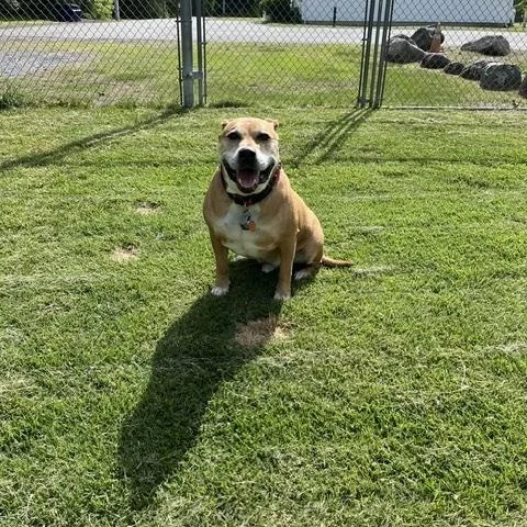 Bailey thumbnail 2