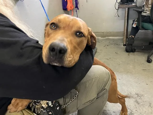 Max