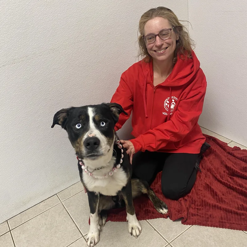 Poe Gci Trained Graduate!! thumbnail 2