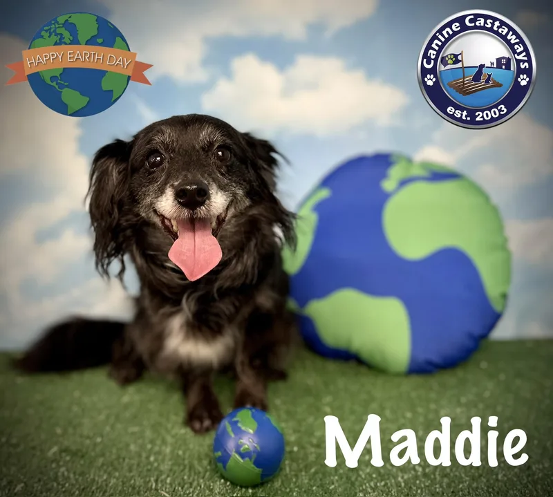 Maddie thumbnail 3