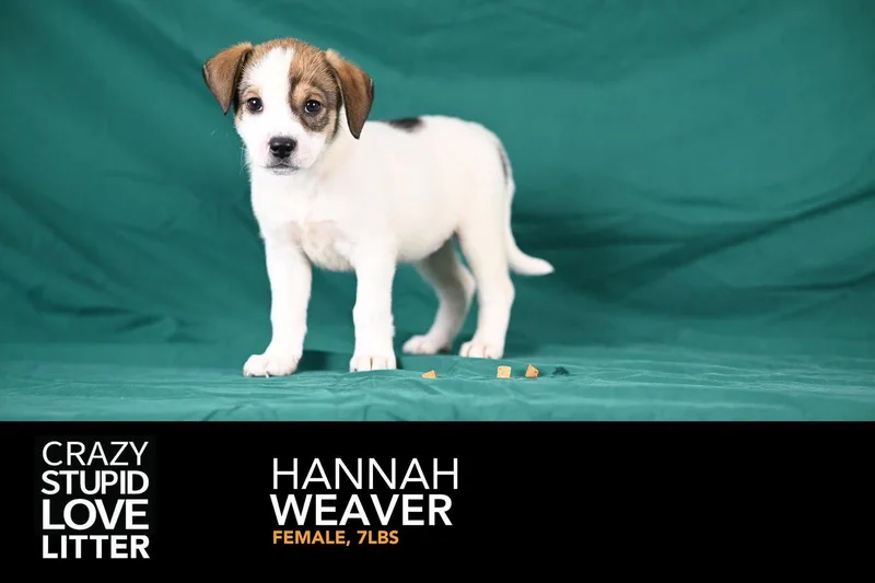 Hannah Weaver thumbnail 2