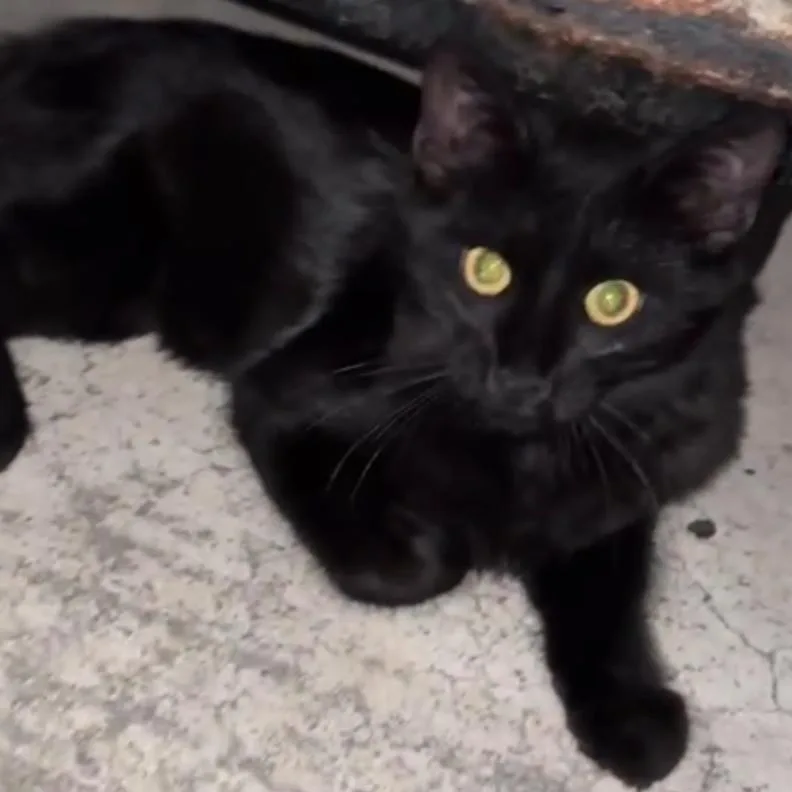 Salem