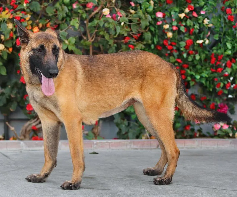 Thea Von Tengen thumbnail 2