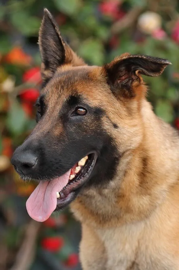 Thea Von Tengen thumbnail 4