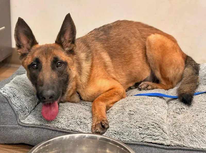 Thea Von Tengen thumbnail 6