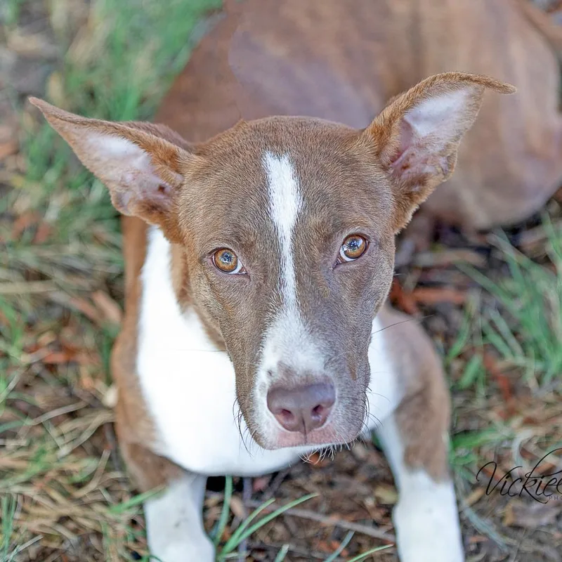 Daisy Rose thumbnail 2