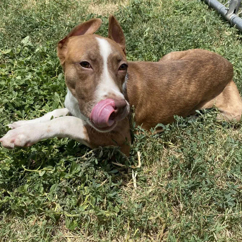 Daisy Rose thumbnail 5