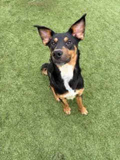 Nicholas thumbnail 2