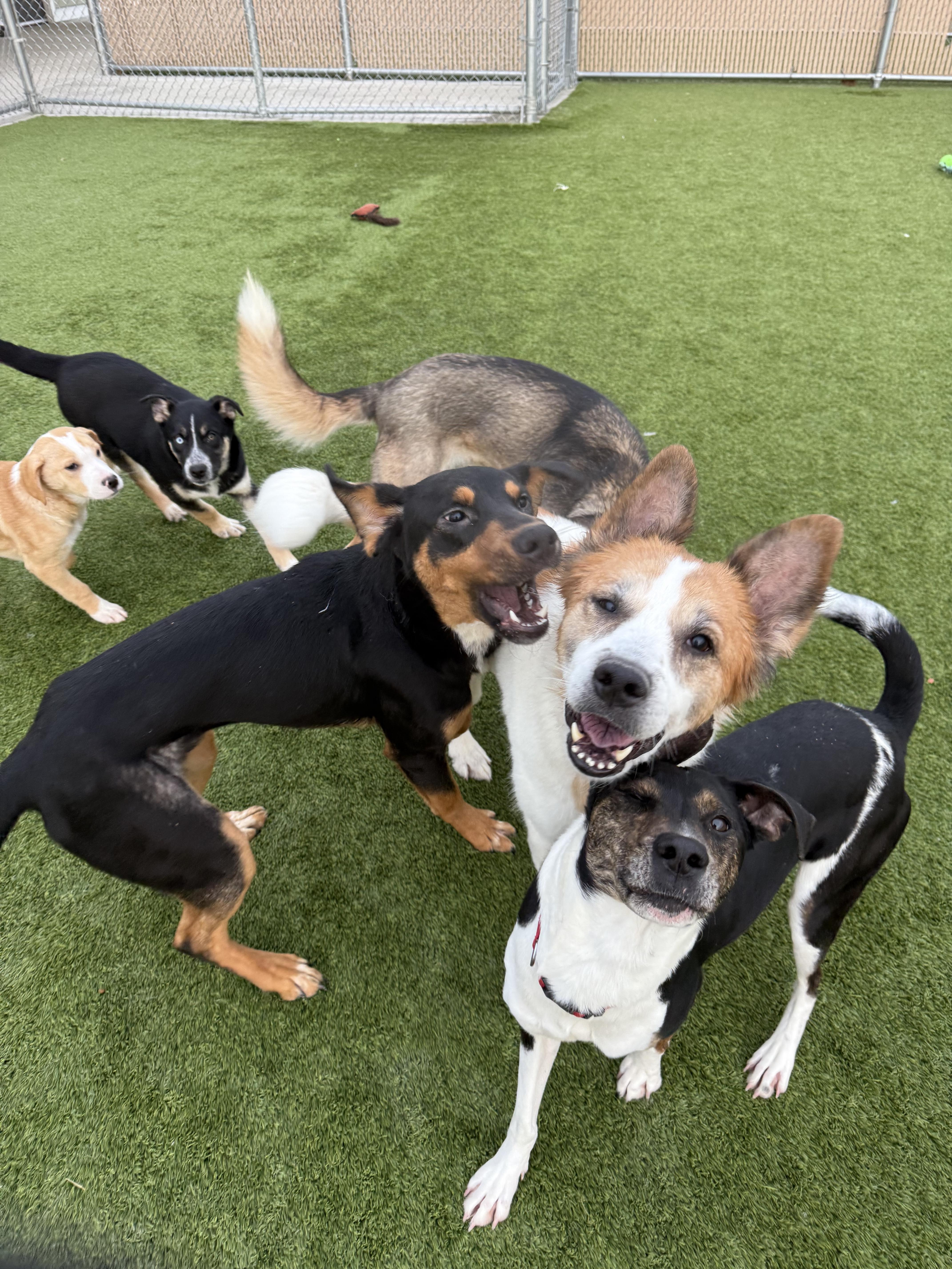 Nicholas thumbnail 4