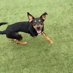 Nicholas thumbnail 5