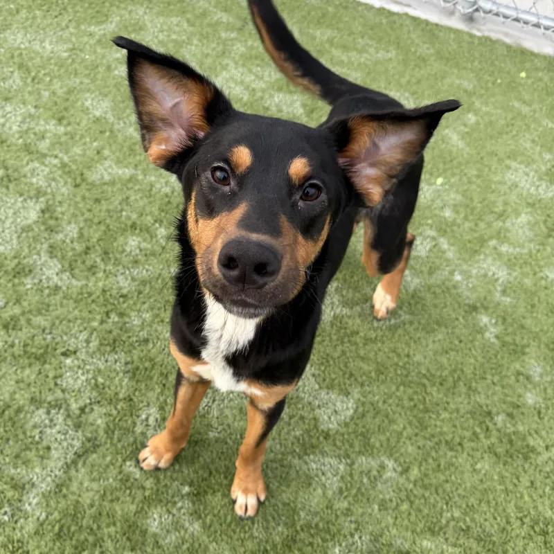 Nicholas thumbnail 6