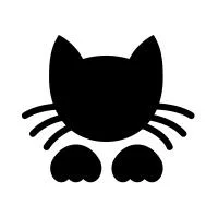 A baby small-sized male White Domestic Short Hair cat named Wallie for adoption in Columbus, NC