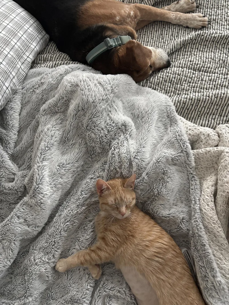 Sydney Florence thumbnail 2