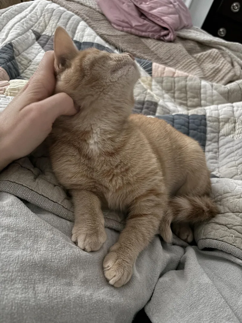 Sydney Florence thumbnail 4