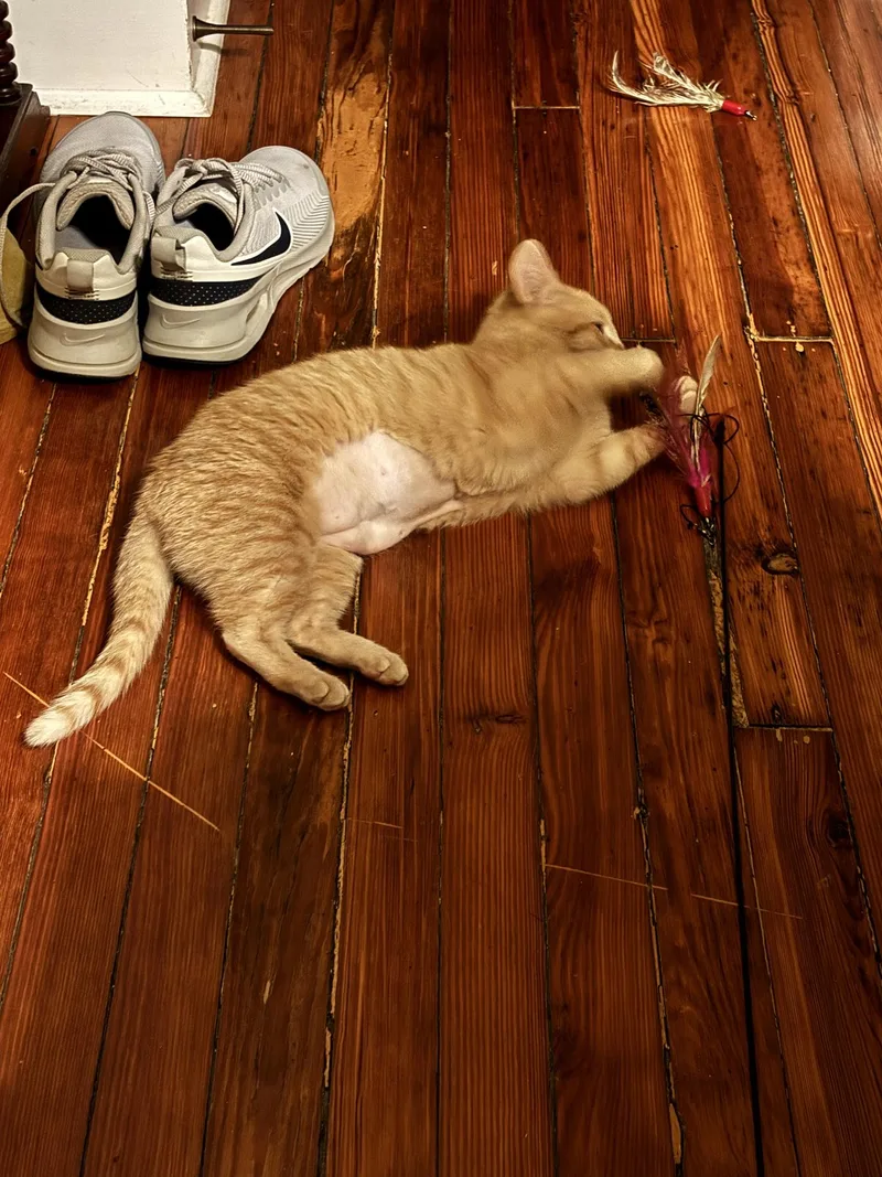 Sydney Florence thumbnail 6