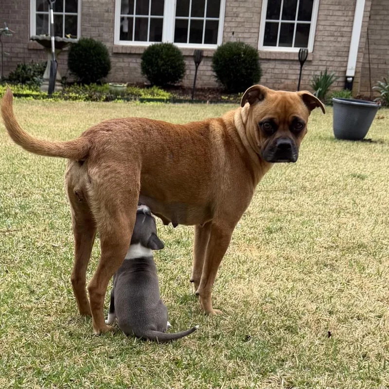 Indieanna thumbnail 2