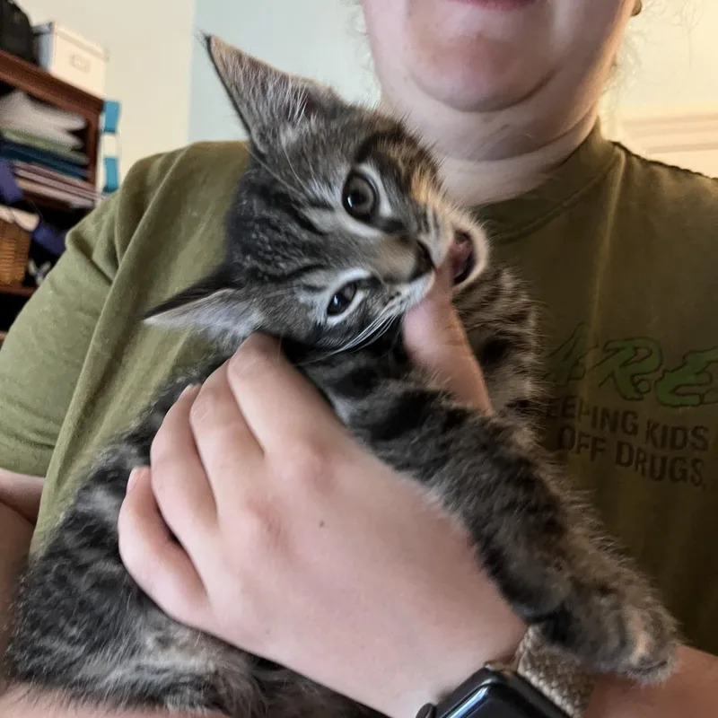 Banjo thumbnail 3