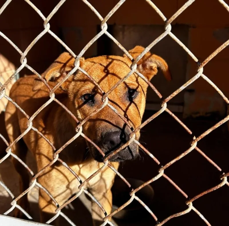 Franklin thumbnail 2