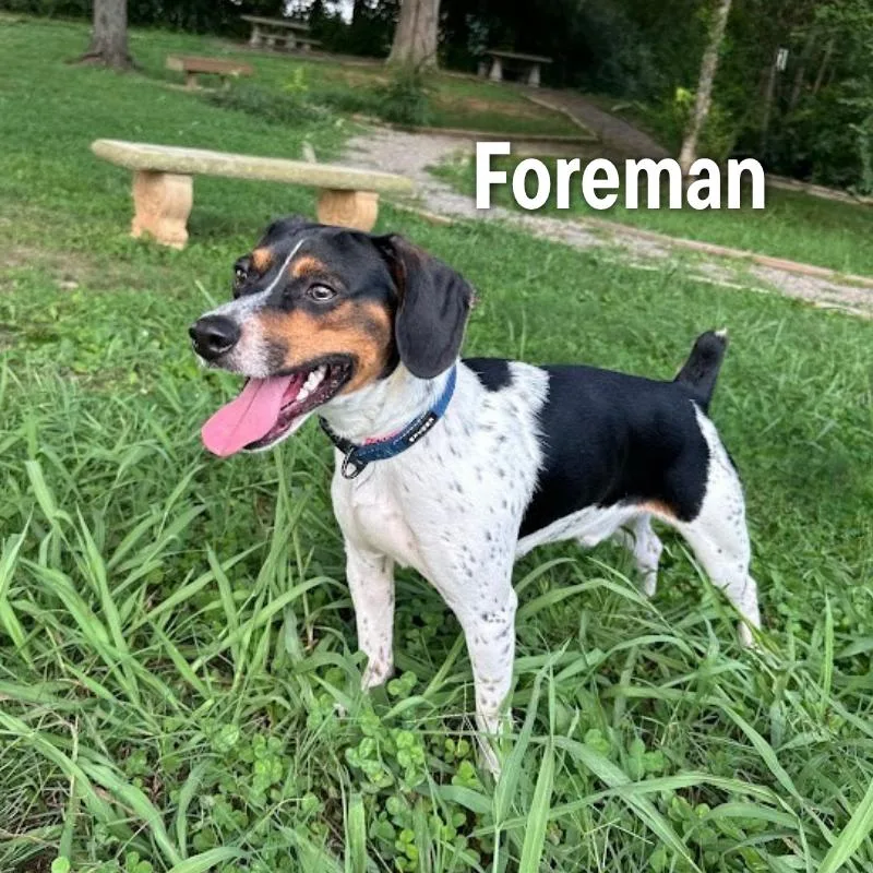 Foreman thumbnail 2