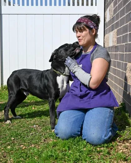 An adult large-sized male Mixed Breed dog named Martin for adoption in Chamblee, GA