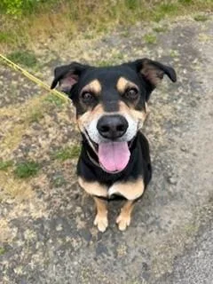 Cooper