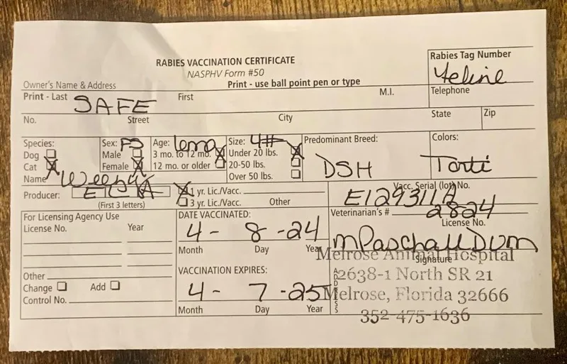 Louise Aka Weezy thumbnail 2