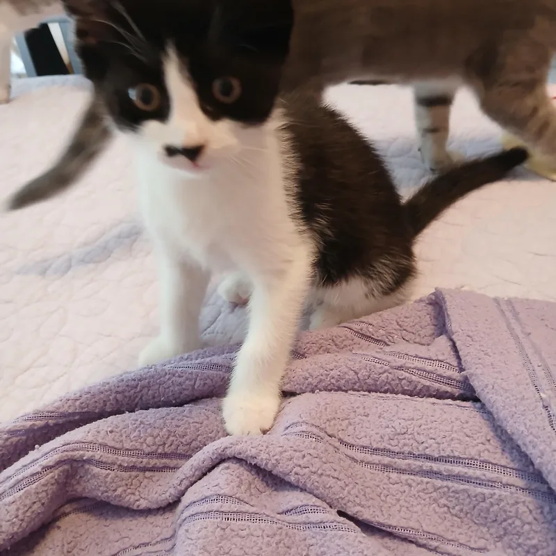 Keegan thumbnail 3