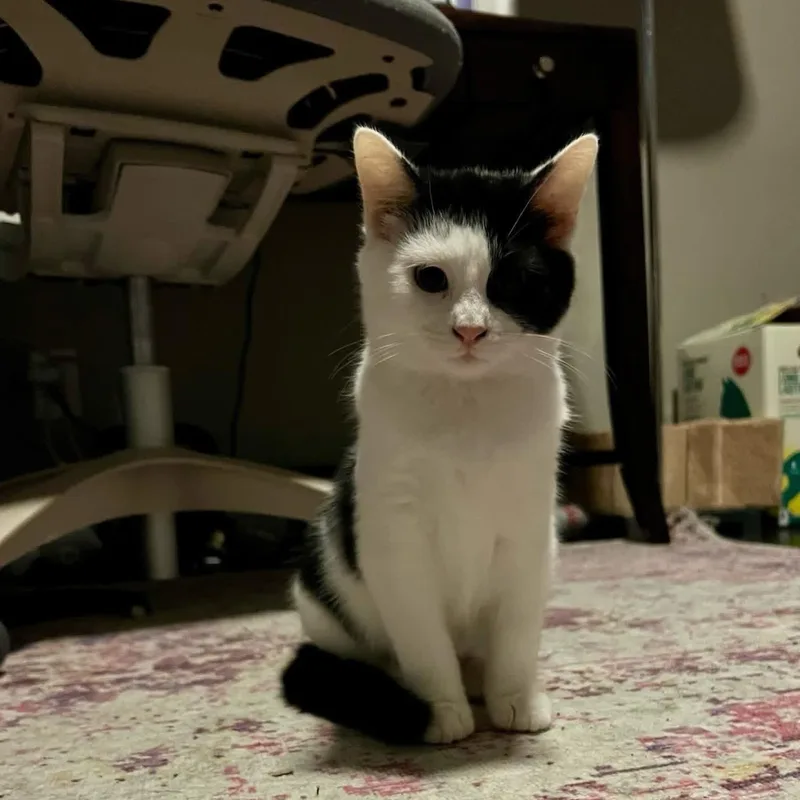 Margot thumbnail 2