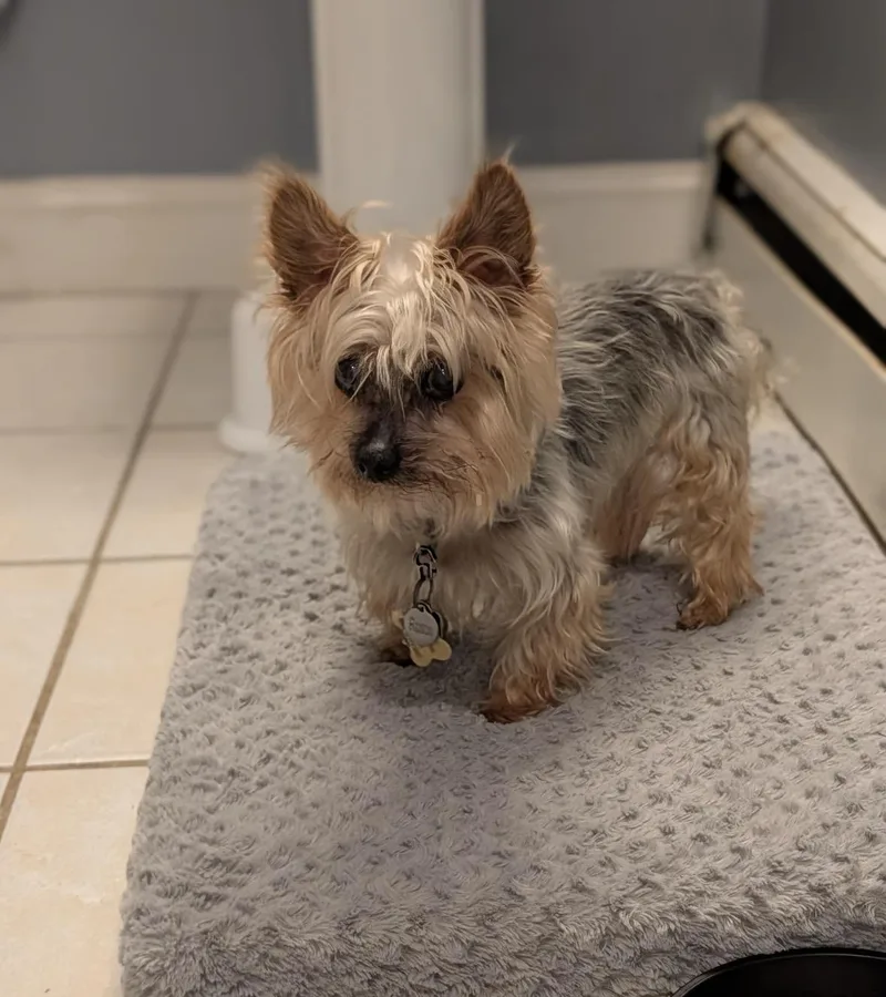 Roscoe