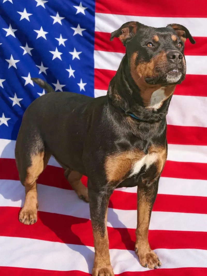 Mary Ann thumbnail 2